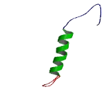 Mannosidase Beta A, Lysosomal Like Protein (MANbAL)