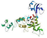 Mannosyl Alpha-1,3-Glycoprotein Beta-1,4-N-Acetylglucosaminyltransferase (MGAT4)