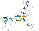 Mannosyl Alpha-1,4-Glycoprotein Beta-1,4-N-Acetylglucosaminyltransferase (MGAT3)