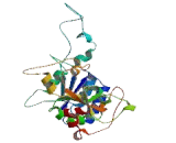 Mannosyl Alpha-1,6-Glycoprotein Beta-1,2-N-Acetylglucosaminyltransferase (MGAT2)