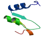 Mannosyl Alpha-1,6-Glycoprotein Beta-1,6-N-Acetylglucosaminyltransferase (MGAT5)