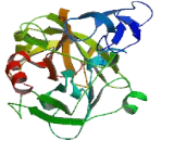 Marapsin 2 (MPN2)