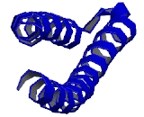 Mast Cell Expressed Membrane Protein 1 (MCEMP1)