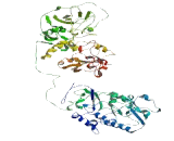 Mastermind Like Domain Containing Protein 1 (MAMLD1)