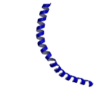 Mastermind Like Protein 1 (MAML1)