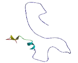 Matrix Remodelling Associated Protein 7 (MXRA7)