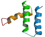 Cx9C Motif Containing Protein 4 (CMC4)