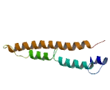 Mdm1 Nuclear Protein Homolog (MDM1)