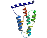 Mediator Complex Subunit 10 (MED10)