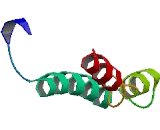 Mediator Complex Subunit 11 (MED11)