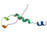 Mediator Complex Subunit 12 Like Protein (MED12L)