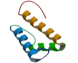 Mediator Complex Subunit 15 (MED15)