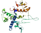 Mediator Complex Subunit 17 (MED17)