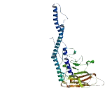 Mediator Complex Subunit 2 (MED2)