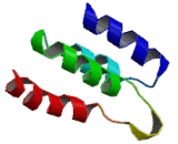 Mediator Complex Subunit 26 (MED26)