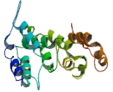 Mediator Complex Subunit 27 (MED27)