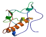 Mediator Complex Subunit 29 (MED29)