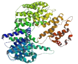 Mediator Complex Subunit 5 (MED5)