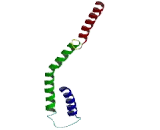 Mediator Complex Subunit 7 (MED7)