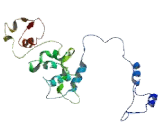 Mediator Complex Subunit 8 (MED8)