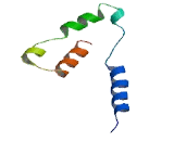 Mediator Complex Subunit 9 (MED9)