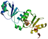 Mediator Of DNA Damage Checkpoint Protein 1 (MDC1)