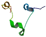 Meiosis Expressed Gene 1 (MEIG1)