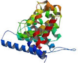 Meiosis Inhibitor 1 (MEI1)