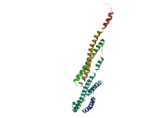 Meiosis Related Protein 2 (MRP2)