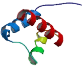 Meis Homeobox Protein 1 (MEIS1)