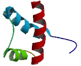 Meis Homeobox Protein 2 (MEIS2)