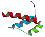 Meis Homeobox Protein 3 (MEIS3)