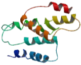 Melanin Concentrating Hormone Receptor 2 (MCHR2)