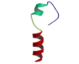 Melanocortin 3 Receptor (MC3R)