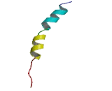 Melanocortin 4 Receptor (MC4R)