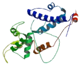 Melanoma Antigen Family A1 (MAGEA1)