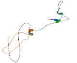 Melanoma Antigen Family A10 (MAGEA10)