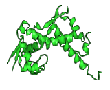 Melanoma Antigen Family A4 (MAGEA4)