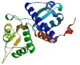 Melanoma Antigen Family B6 (MAGEB6)