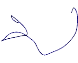 Melanoma Antigen Family D1 (MAGED1)