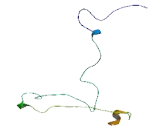 Melanoma Antigen Family E1 (MAGEE1)