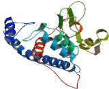 Melanoma Antigen Family E2 (MAGEE2)