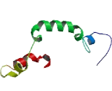 Melanoma Antigen Family H1 (MAGEH1)