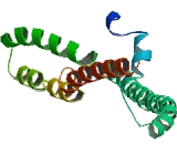 Melanoma Derived Leucine Zipper Extra Nuclear Factor (MLZE)