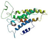 Melatonin Receptor 1B (MTNR1B)