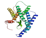 Melatonin Receptor 1C (MTNR1C)