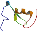 Membrane Associated DNA Binding Protein (MNAB)