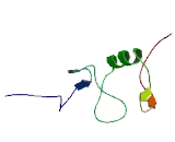 Membrane Associated Ring Finger Protein 1 (MARCH1)