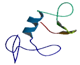 Membrane Associated Ring Finger Protein 10 (MARCH10)