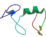 Membrane Associated Ring Finger Protein 2 (MARCH2)